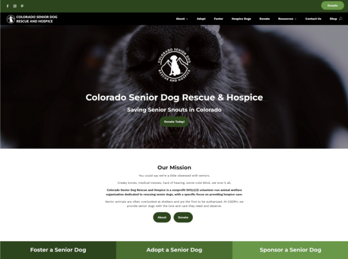 How to Use Pinterest's 2025 Color Palette in Website Design | Westco Web Design A website mockup using the Dill Green color palette for 2025