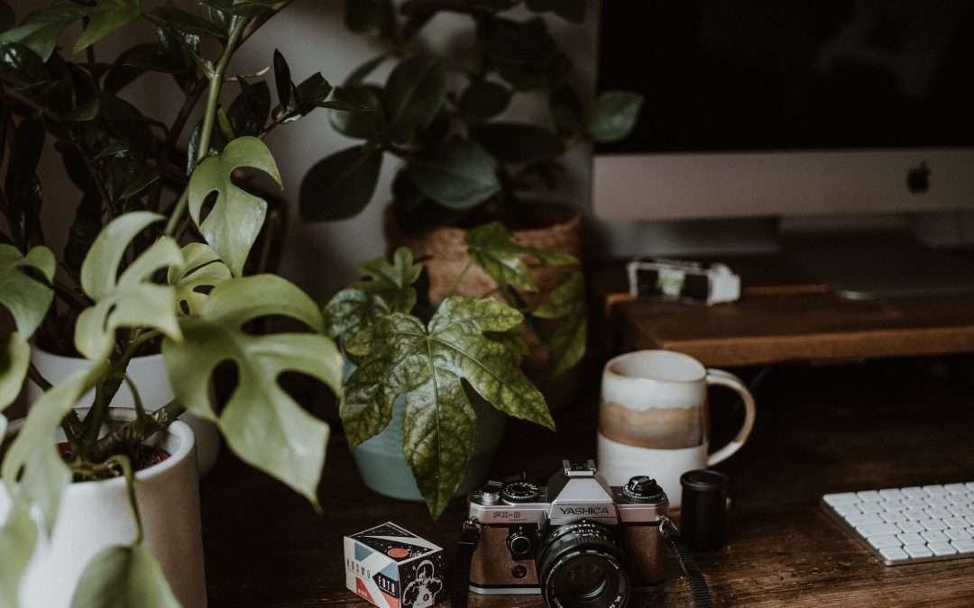 7 Copywriting Prompts To Increase Conversions On Your Sales Page